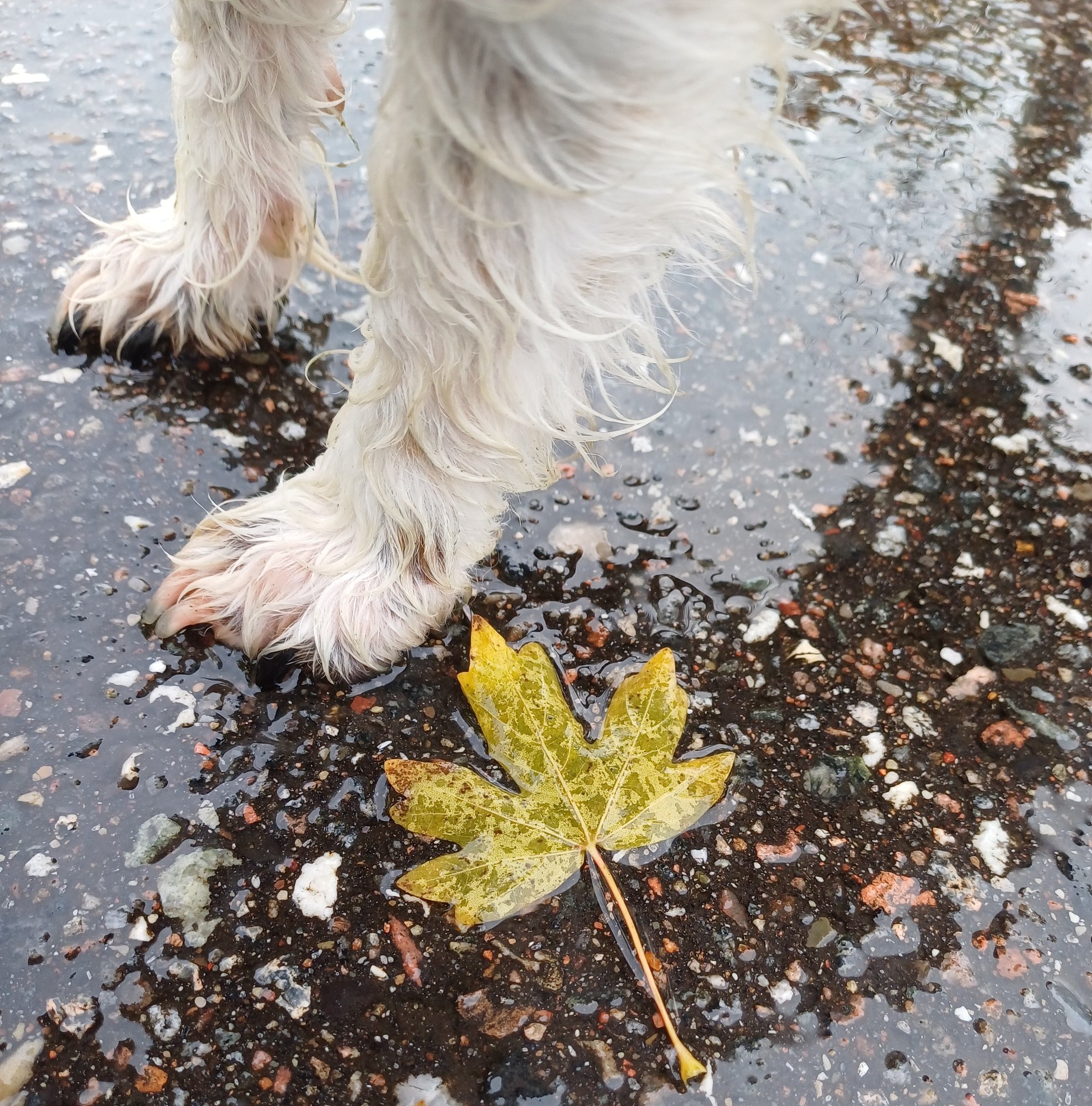 20241009_154945 20241009_154945