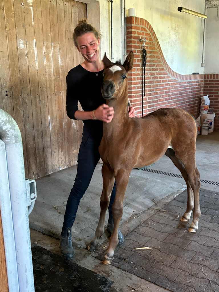 449403455_849797963662223_886596786730780561_n 449403455_849797963662223_886596786730780561_n