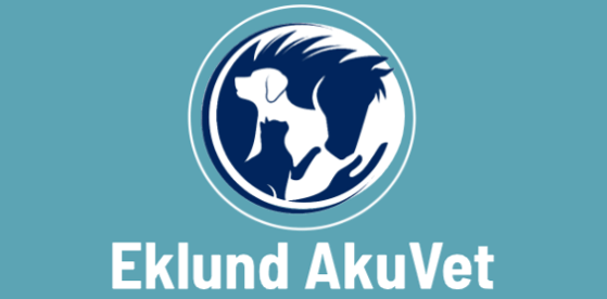 Skærmbillede 2026-02-03 174222